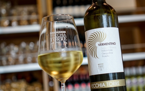 Quali sono i vini bianchi del Salento?